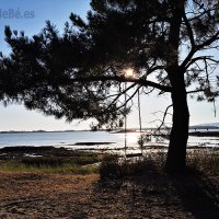 VILANOVA DE AROUSA