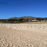 A PRAIA DAS GAIVOTAS