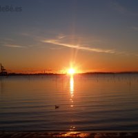 VILAGARCÍA DE AROUSA