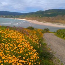Costa da morteGalicia - España