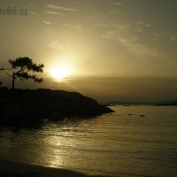 ILLA DE AROUSA