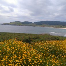 Costa da morteGalicia - España